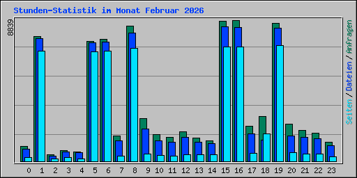 Stunden-Statistik im Monat Februar 2026