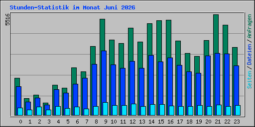 Stunden-Statistik im Monat Juni 2026