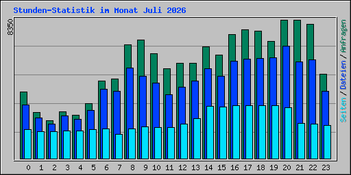 Stunden-Statistik im Monat Juli 2026